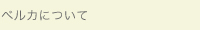ベルカについて